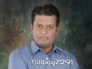 Siliboy7291