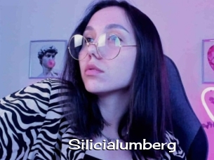 Silicialumberg