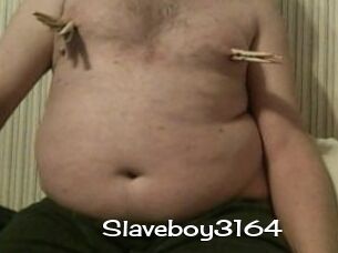 Slaveboy3164