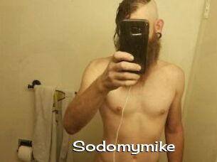 Sodomymike