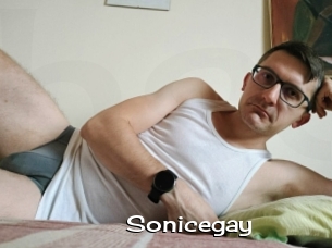 Sonicegay