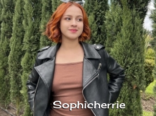 Sophicherrie