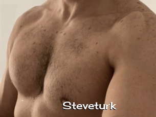 Steveturk