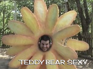 TEDDY_BEAR_SEXY