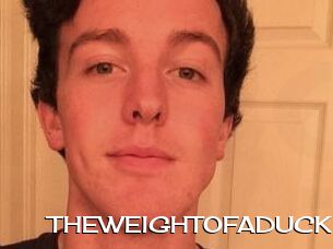 THEWEIGHTOFADUCK