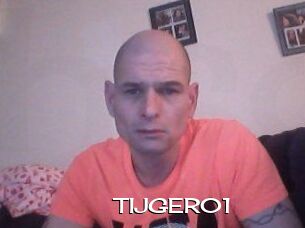 TIJGER01