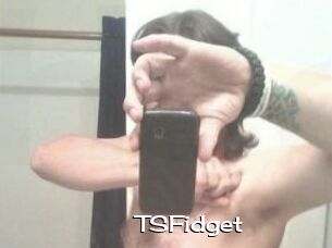 TSFidget