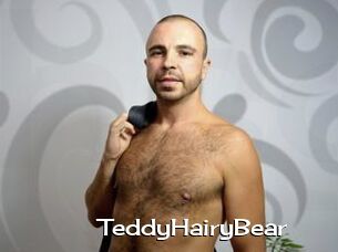 TeddyHairyBear