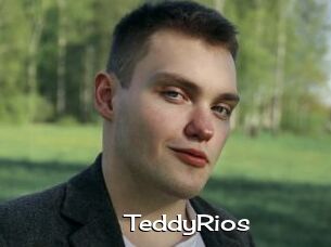 TeddyRios