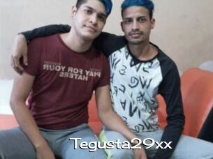 Tegusta29xx