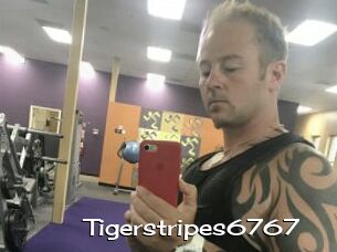 Tigerstripes6767