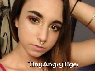 TinyAngryTiger