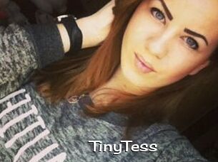 TinyTess