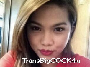 TransBigCOCK4u