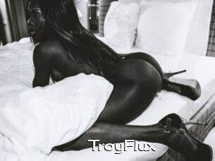 TroyFlux