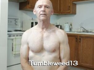 Tumbleweed13