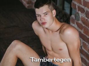 Tambertegen