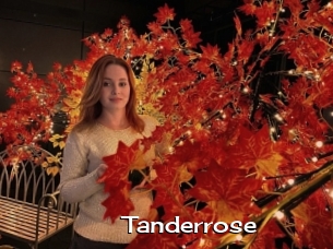 Tanderrose