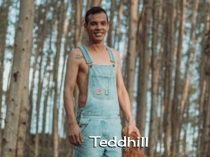 Teddhill
