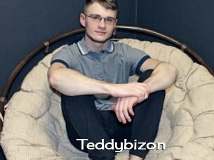 Teddybizon