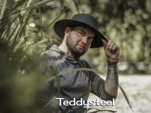 Teddysteel