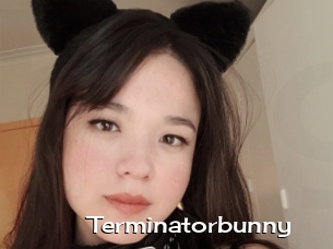 Terminatorbunny