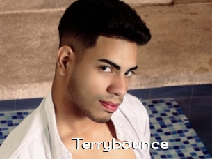 Terrybounce