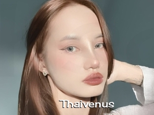 Thaivenus