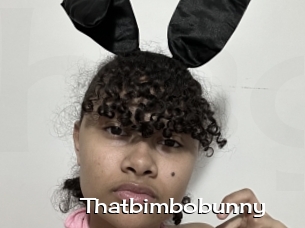 Thatbimbobunny