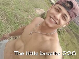 The_little_bruette_228