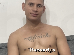 Thesantyx