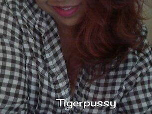 Tigerpussy