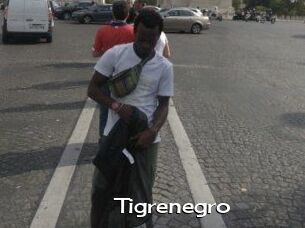 Tigrenegro