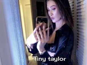 Tiny_taylor