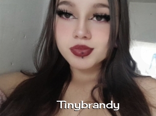 Tinybrandy