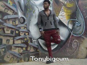 Tonybigcum