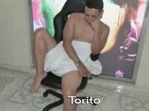 Torito