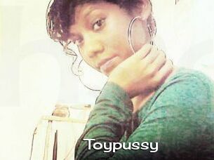 Toypussy