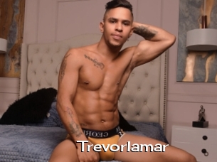 Trevorlamar