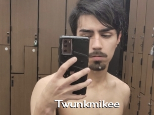 Twunkmikee