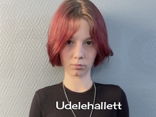 Udelehallett