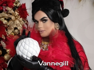 Vannegill