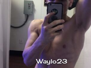 Waylo23