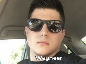 Wayneer