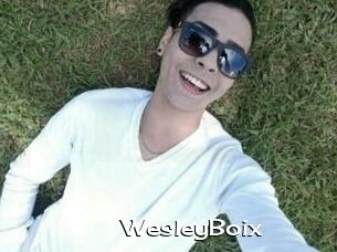 Wesley_Boix