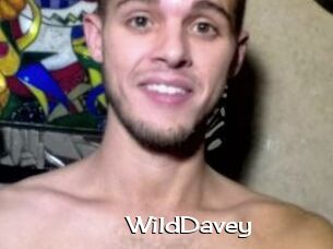 WildDavey