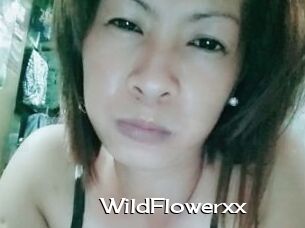 WildFlowerxx