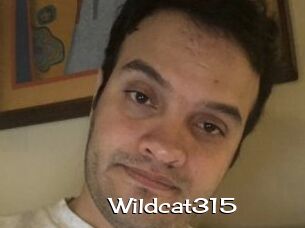 Wildcat315