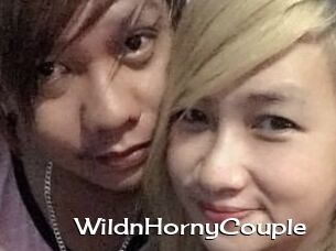 WildnHornyCouple