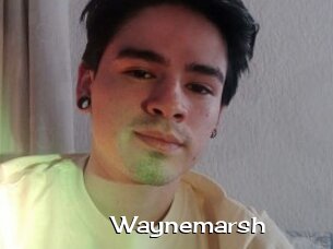 Waynemarsh